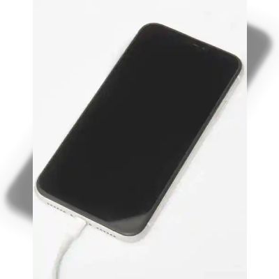 Перепрошивка iPhone 12 Pro Max