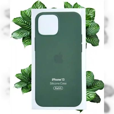 Чохол Apple Silicone Case with MagSafe (Eucalyptus) для iPhone 13