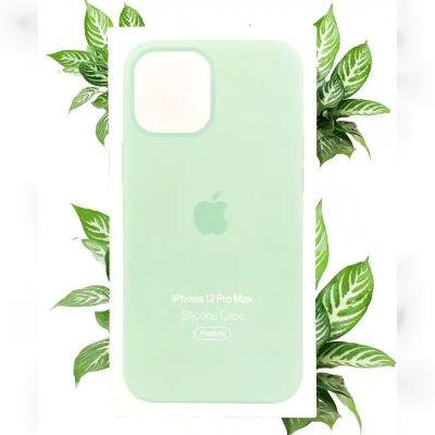 Чохол Apple Silicone Case with MagSafe (Pistachio) для iPhone 12 Pro Max