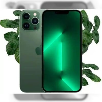 Apple iPhone 13 Pro Max 1TB Alpine Green (Зелений) Відновлений еко