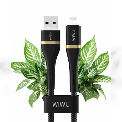 Кабель Wiwu USB to Lightning (ED100)