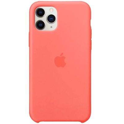 Чохол на iPhone 11 Pro (Кумкват) | Silicone Case iPhone 11 Pro (Kumquat)