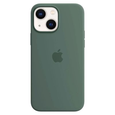 Чохол Apple Silicone Case with MagSafe (Eucalyptus) для iPhone 13